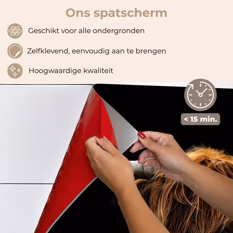 Schotse Hooglander - Horens - Zwart - Dieren - Natuur - Wild - Koe keuken achterwand spatscherm klein -spatscherm_NL