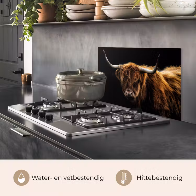 Schotse Hooglander - Horens - Zwart - Dieren - Natuur - Wild - Koe keuken achterwand spatscherm klein -usp_NL