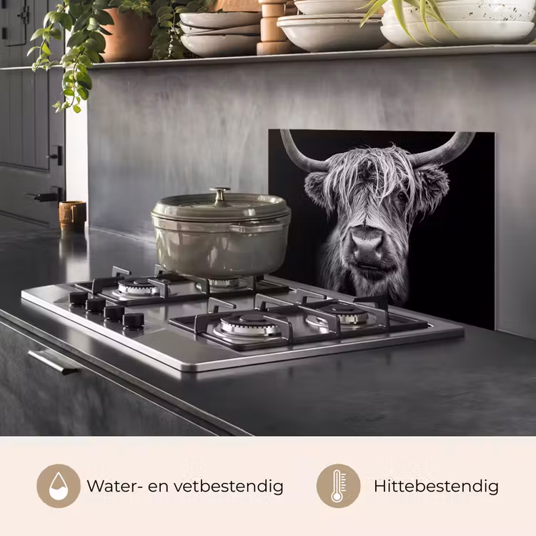 Schotse Hooglander - Horens - Zwart - Wit - Koe - Wild - Dieren keuken achterwand spatscherm klein -usp_NL