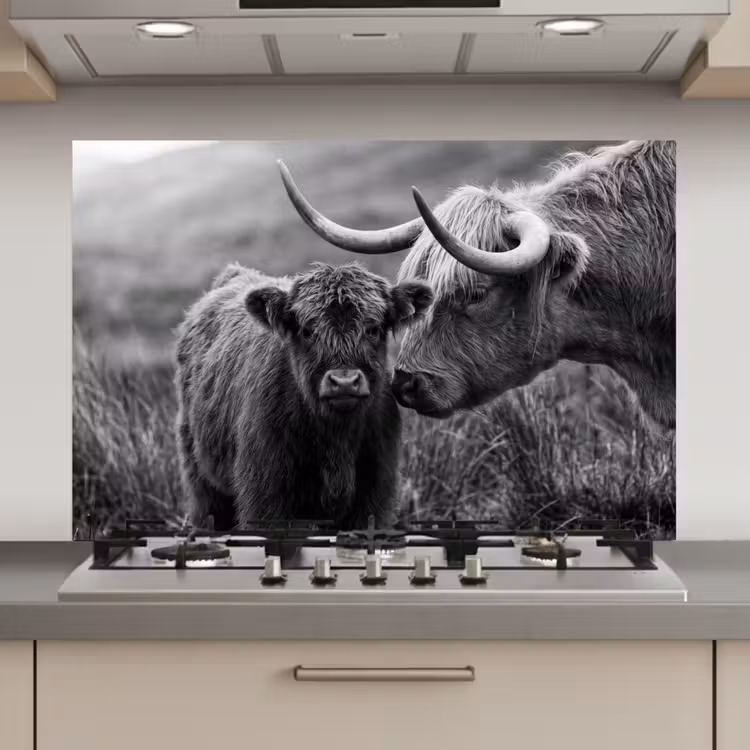 Schotse hooglander - Kalf - Zwart - Wit keuken achterwand spatscherm klein -3d_website