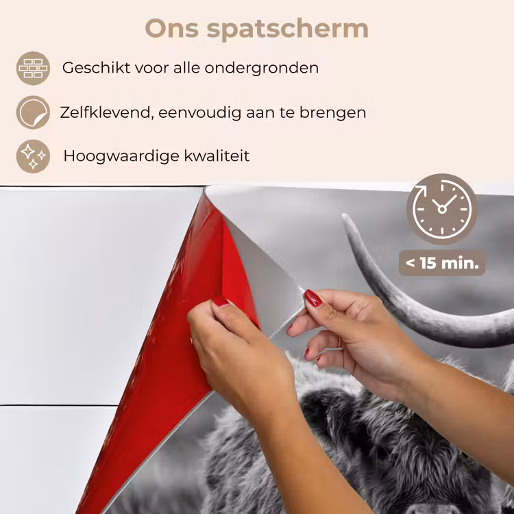 Schotse hooglander - Kalf - Zwart - Wit keuken achterwand spatscherm klein -spatscherm_NL
