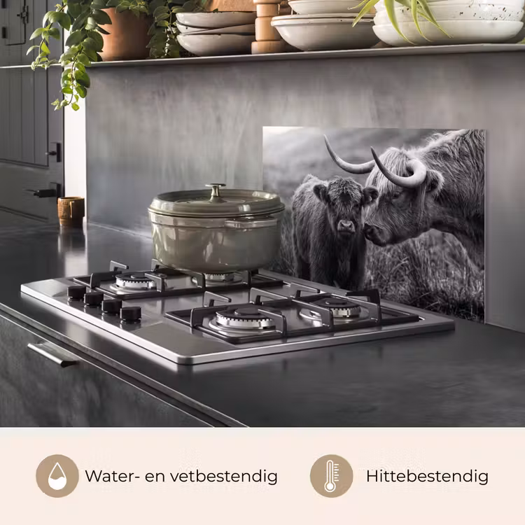 Schotse hooglander - Kalf - Zwart - Wit keuken achterwand spatscherm klein -usp_NL