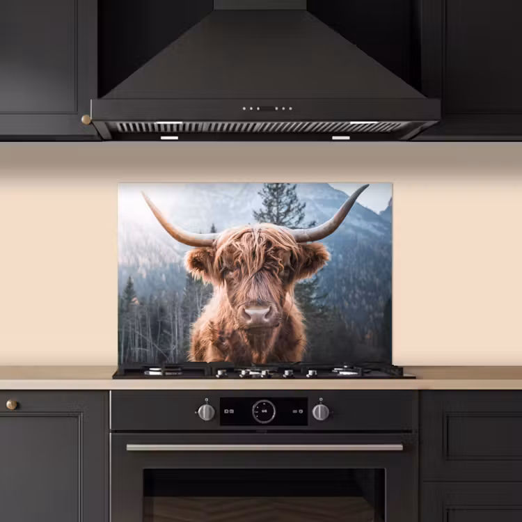 Schotse hooglander - Koe - Dieren - Berg - Natuur keuken achterwand spatscherm klein -sfeer1