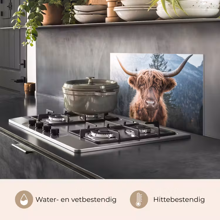 Schotse hooglander - Koe - Dieren - Berg - Natuur keuken achterwand spatscherm klein -usp_NL