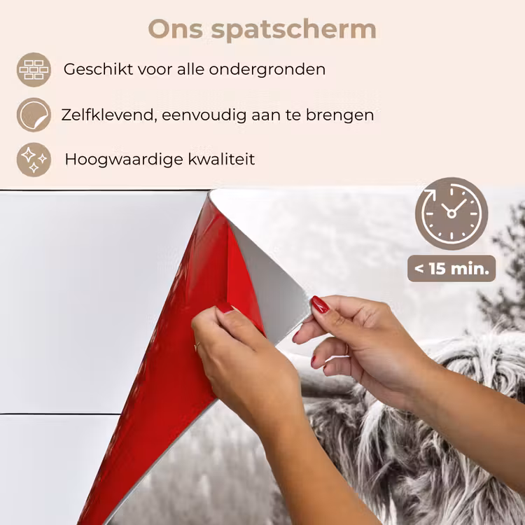 Schotse hooglander - Koe - Dieren - Zwart - Wit keuken achterwand spatscherm klein -spatscherm_NL