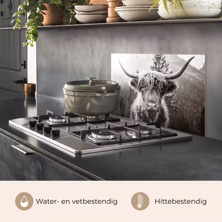 Schotse hooglander - Koe - Dieren - Zwart - Wit keuken achterwand spatscherm klein -usp_NL