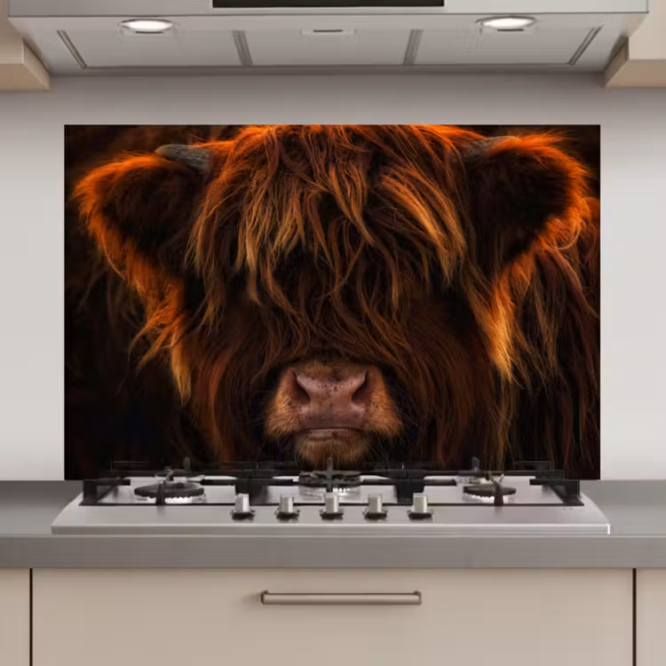 Schotse Hooglander - Koe - Portret - Dieren keuken achterwand spatscherm klein -3d_website
