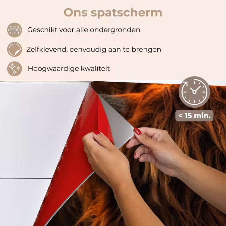 Schotse Hooglander - Koe - Portret - Dieren keuken achterwand spatscherm klein -spatscherm_NL