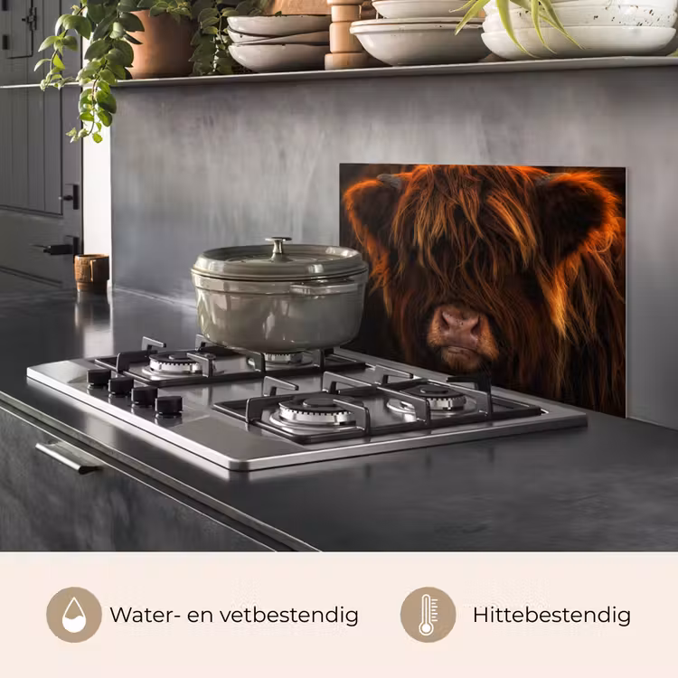 Schotse Hooglander - Koe - Portret - Dieren keuken achterwand spatscherm klein -usp_NL