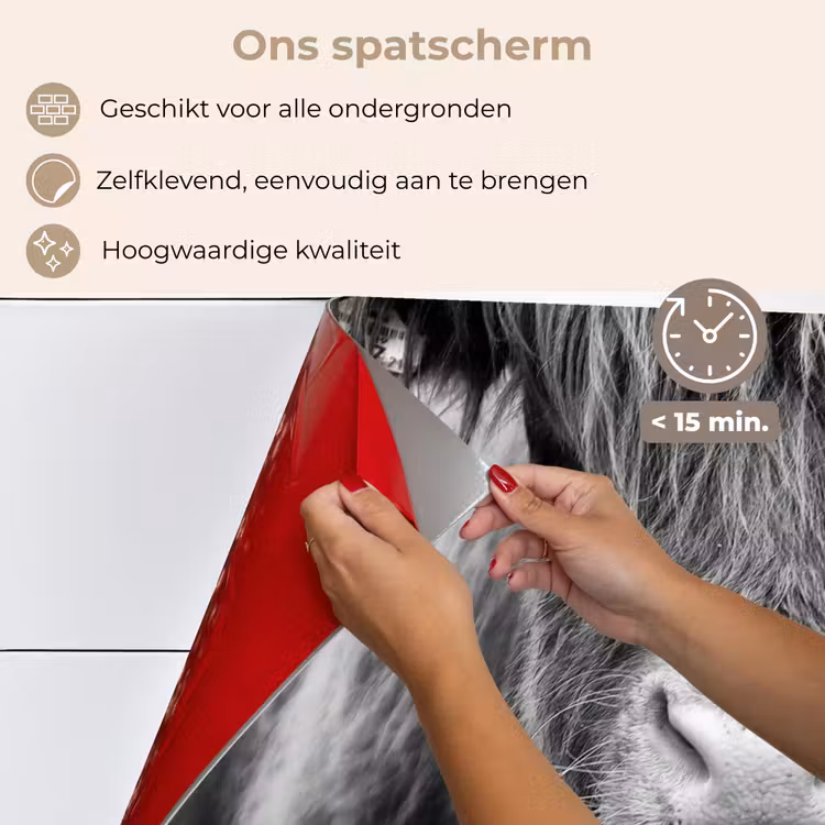 Schotse hooglander - Koe - Zwart - Wit - Dieren keuken achterwand spatscherm klein -spatscherm_NL