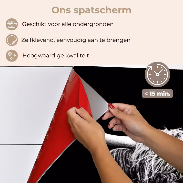 Schotse Hooglander - Koe - Zwart - Wit - Dieren keuken achterwand spatscherm klein -spatscherm_NL
