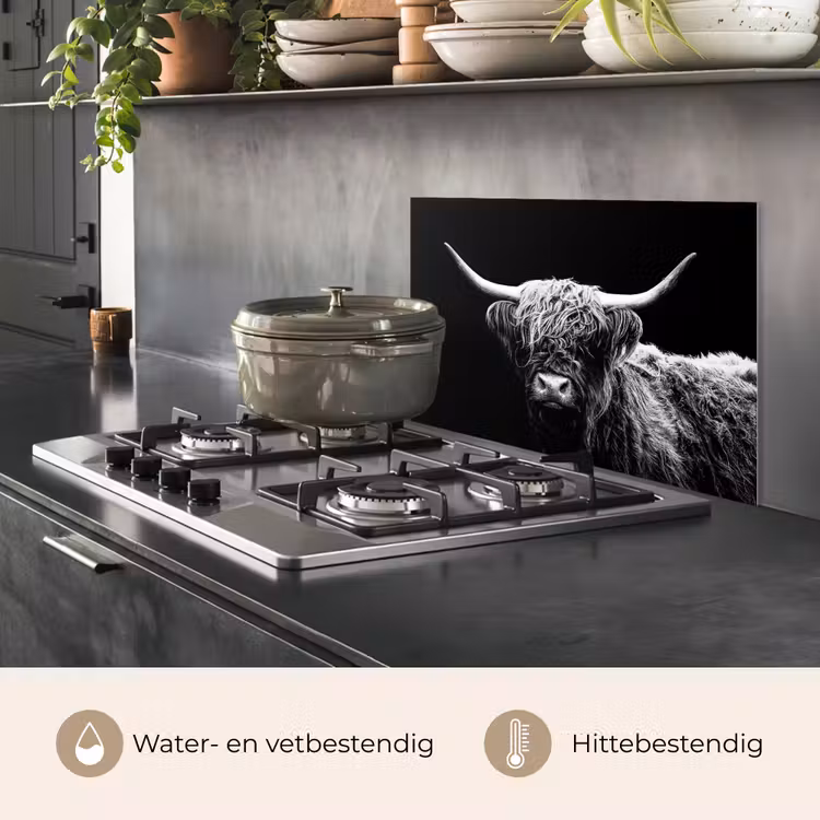 Schotse Hooglander - Koe - Zwart - Wit - Dieren keuken achterwand spatscherm klein -usp_NL