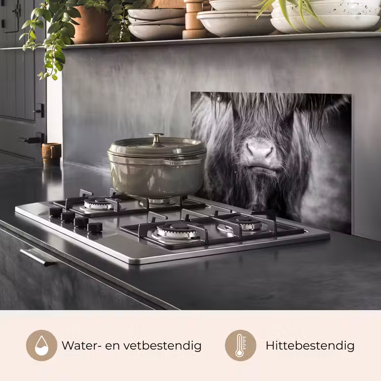 Schotse hooglander - Koe - Zwart - Wit - Dieren keuken achterwand spatscherm klein -usp_NL