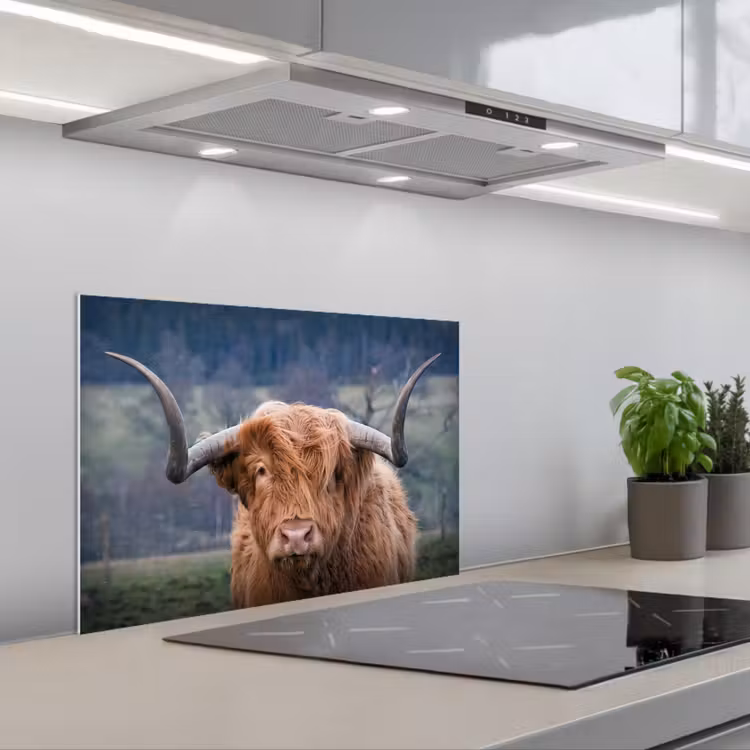 Schotse Hooglander - Koeienkop - Landschap - Natuur - Koe keuken achterwand spatscherm klein -3d_schuin