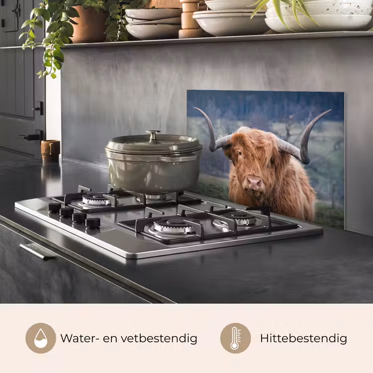 Schotse Hooglander - Koeienkop - Landschap - Natuur - Koe keuken achterwand spatscherm klein -usp_NL