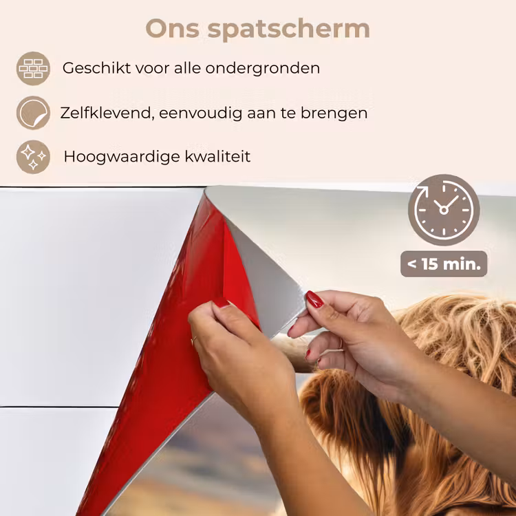 Schotse hooglander - Landschap - Dier keuken achterwand spatscherm klein -spatscherm_NL