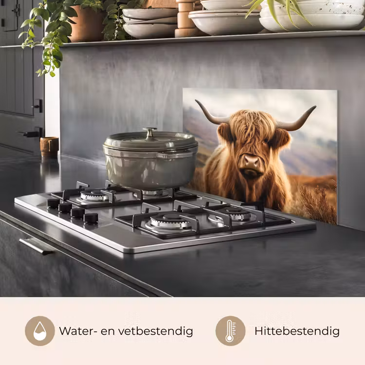 Schotse hooglander - Landschap - Dier keuken achterwand spatscherm klein -usp_NL