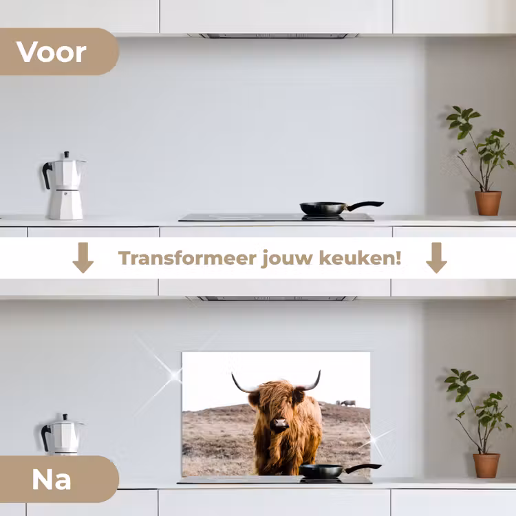 Schotse hooglander - Landschap - Koe - Bruin - Dieren - Natuur keuken achterwand spatscherm klein -voor_na_NL