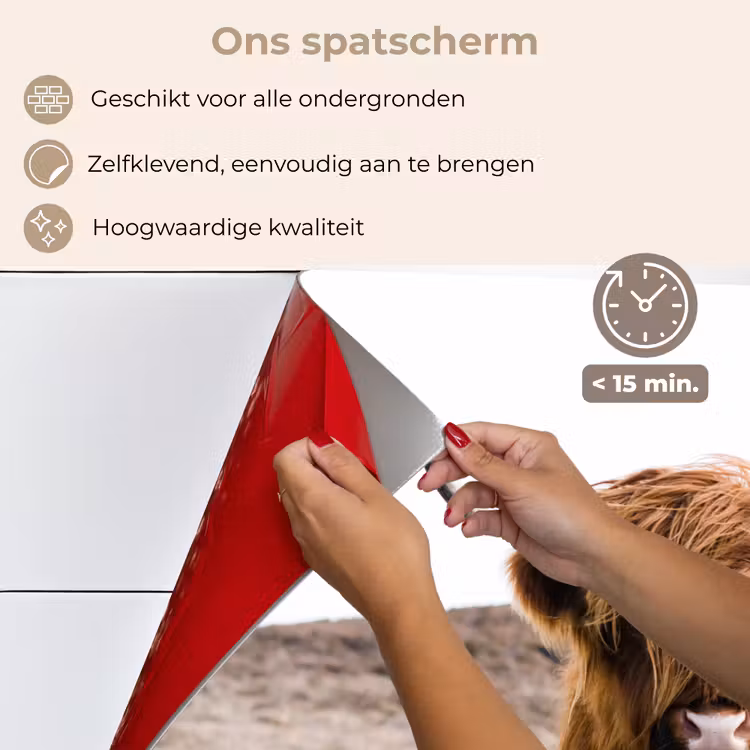 Schotse hooglander - Landschap - Koe - Bruin - Dieren - Natuur keuken achterwand spatscherm klein -spatscherm_NL