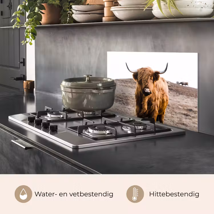 Schotse hooglander - Landschap - Koe - Bruin - Dieren - Natuur keuken achterwand spatscherm klein -usp_NL