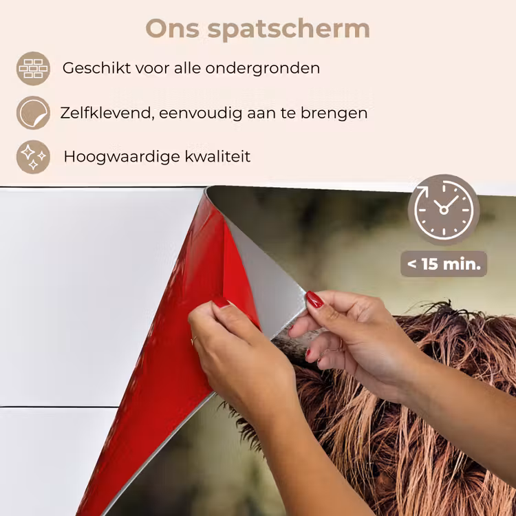 Schotse hooglander - Licht - Portret - Natuur keuken achterwand spatscherm klein -spatscherm_NL