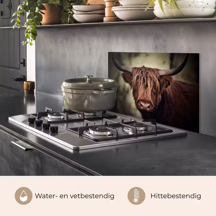 Schotse hooglander - Licht - Portret - Natuur keuken achterwand spatscherm klein -usp_NL