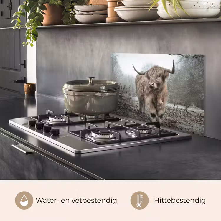 Schotse hooglander - Natuur - Herfst - Dieren - Wild - Bos keuken achterwand spatscherm klein -usp_NL