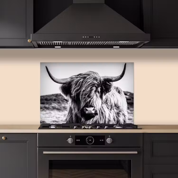Schotse hooglander - Natuur - Koe - Zwart - Wit keuken achterwand spatscherm klein -sfeer1