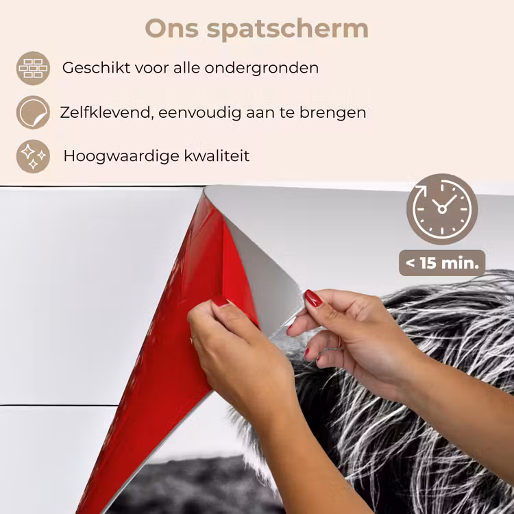 Schotse hooglander - Natuur - Koe - Zwart - Wit keuken achterwand spatscherm klein -spatscherm_NL