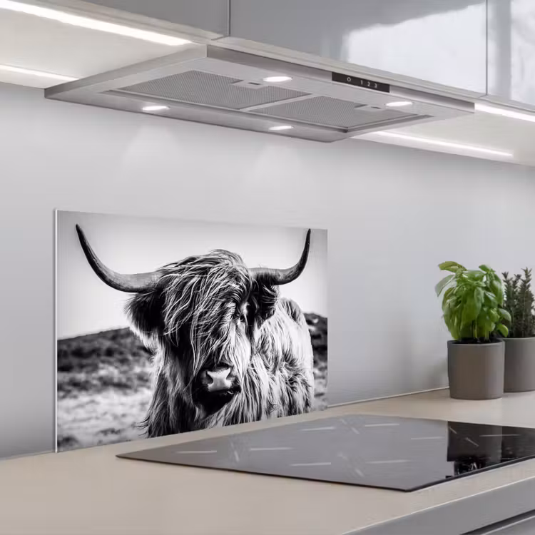Schotse hooglander - Natuur - Koe - Zwart - Wit keuken achterwand spatscherm klein -3d_schuin