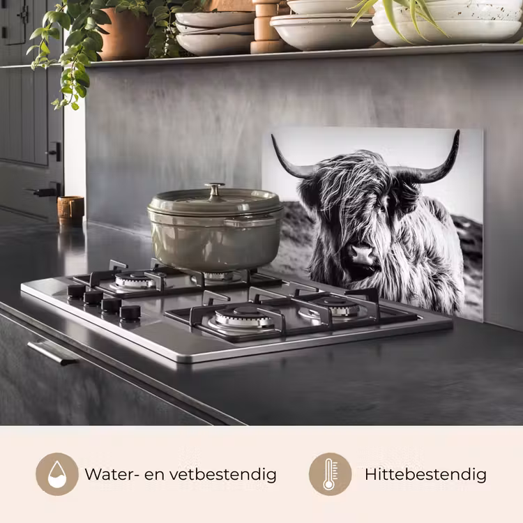 Schotse hooglander - Natuur - Koe - Zwart - Wit keuken achterwand spatscherm klein -usp_NL