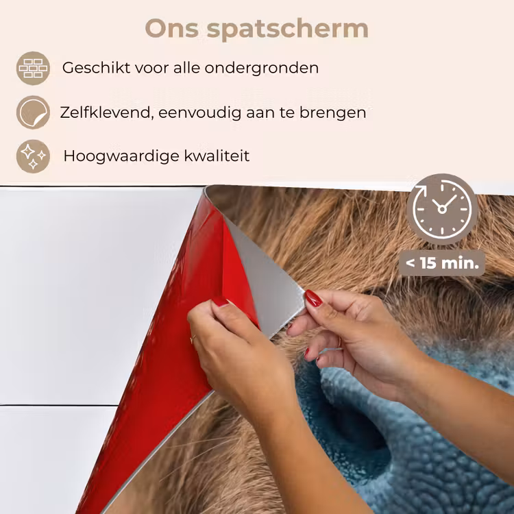 Schotse hooglander - Neus - Bruin keuken achterwand spatscherm klein -spatscherm_NL