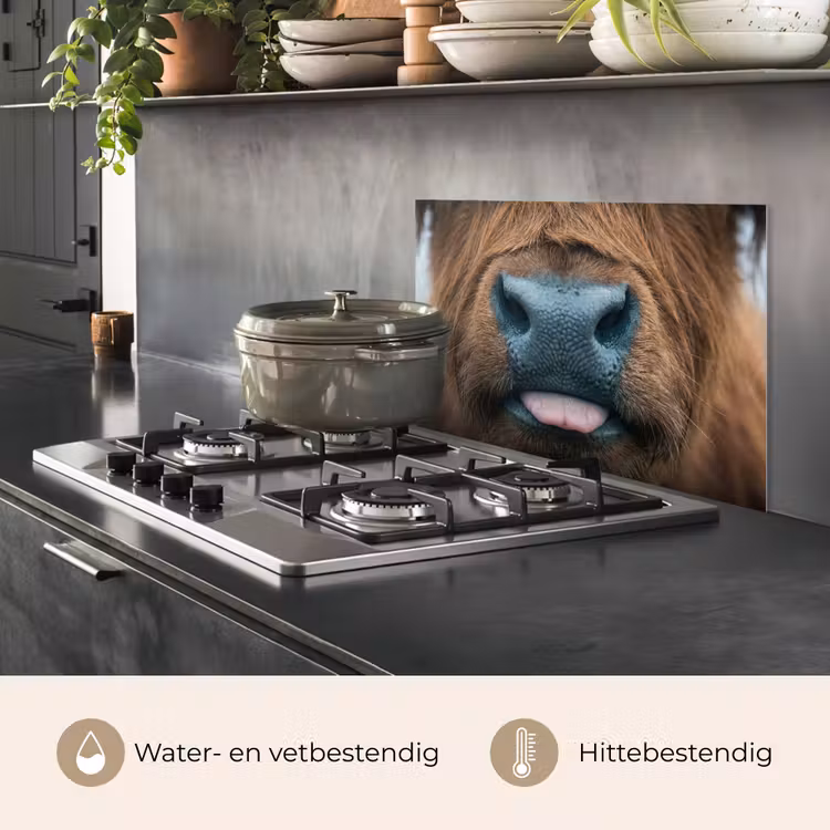 Schotse hooglander - Neus - Bruin keuken achterwand spatscherm klein -usp_NL