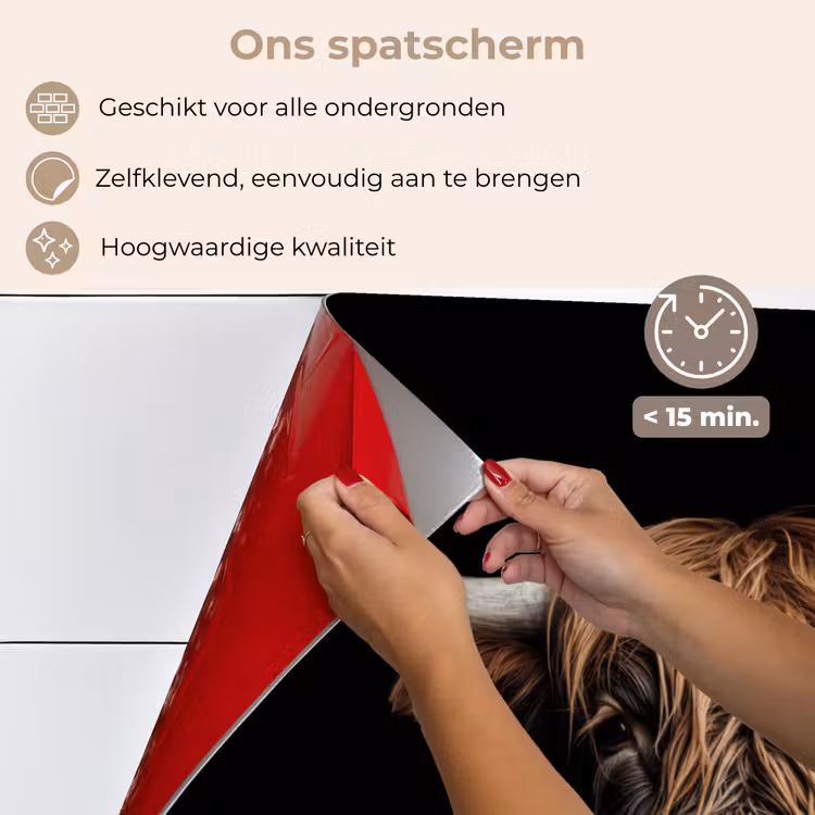 Schotse hooglander - Portret - Zwart - Dier keuken achterwand spatscherm klein -spatscherm_NL