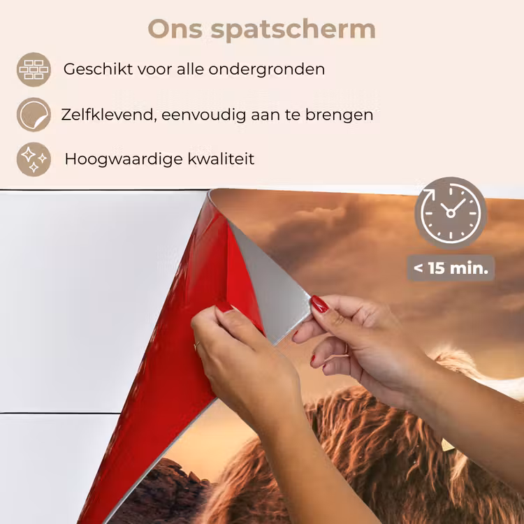 Schotse hooglander - Zon - Horizon - Koe - Dieren keuken achterwand spatscherm klein -spatscherm_NL