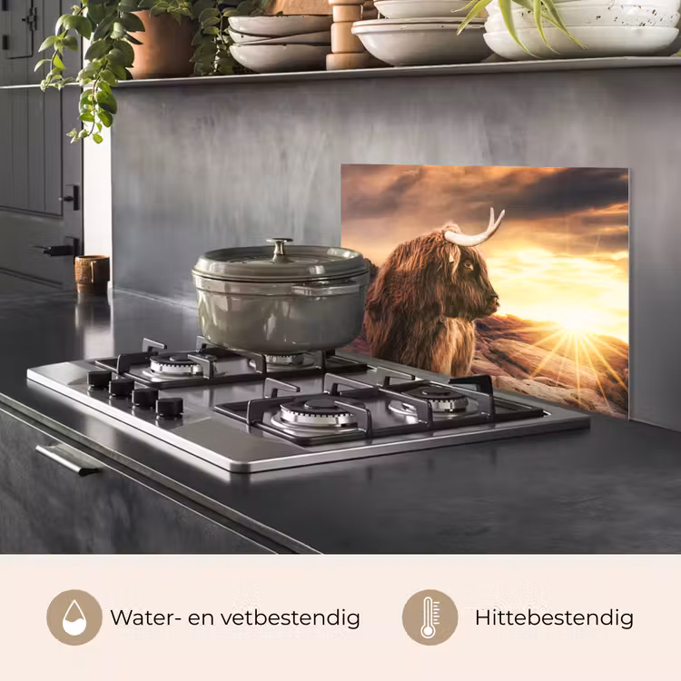 Schotse hooglander - Zon - Horizon - Koe - Dieren keuken achterwand spatscherm klein -usp_NL
