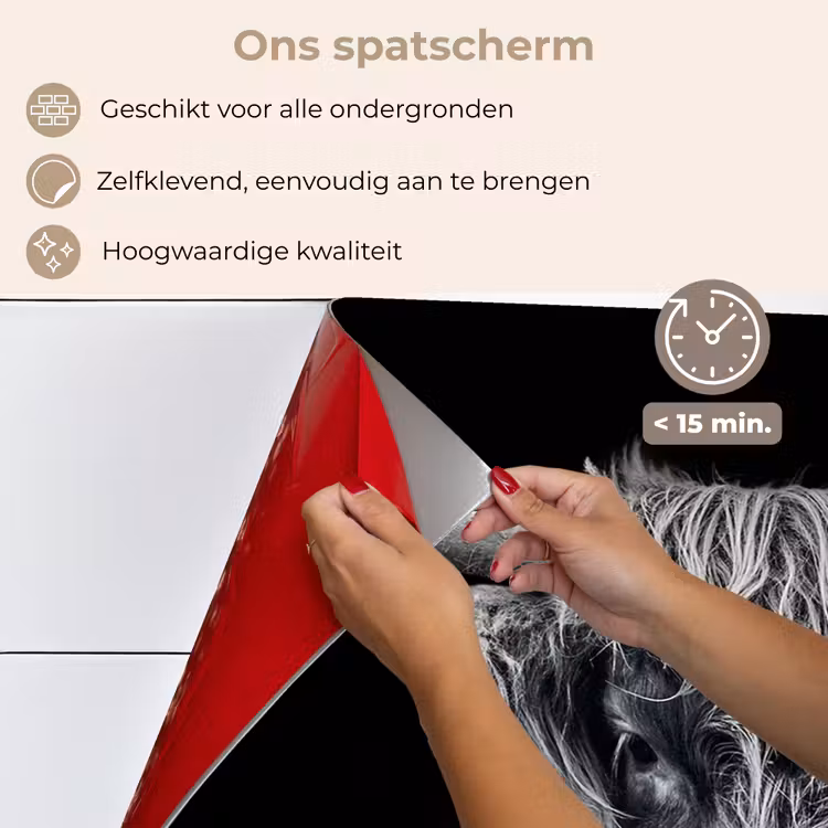Schotse hooglander - Zwart - Koe - Dieren keuken achterwand spatscherm klein -spatscherm_NL
