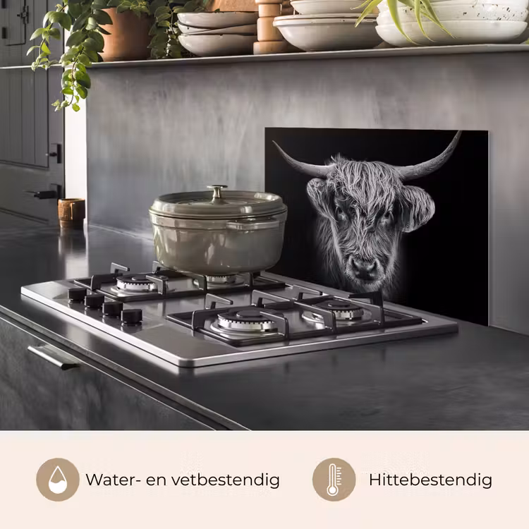 Schotse hooglander - Zwart - Koe - Dieren keuken achterwand spatscherm klein -usp_NL