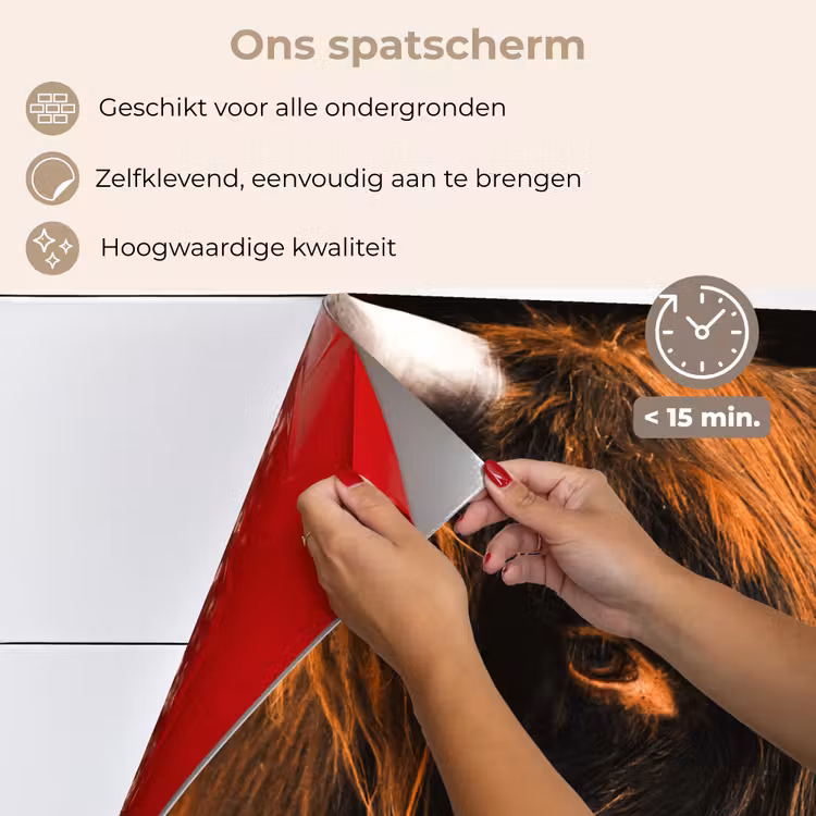 Schotse hooglander - Zwart - Koe - Hoorn - Dieren keuken achterwand spatscherm klein -spatscherm_NL