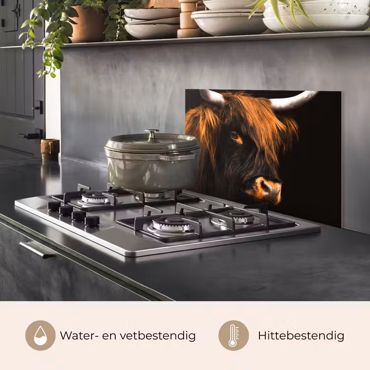 Schotse hooglander - Zwart - Koe - Hoorn - Dieren keuken achterwand spatscherm klein -usp_NL