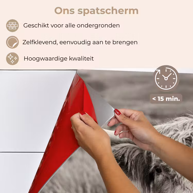 Schotse hooglander - Zwart - Wit - Hout keuken achterwand spatscherm klein -spatscherm_NL