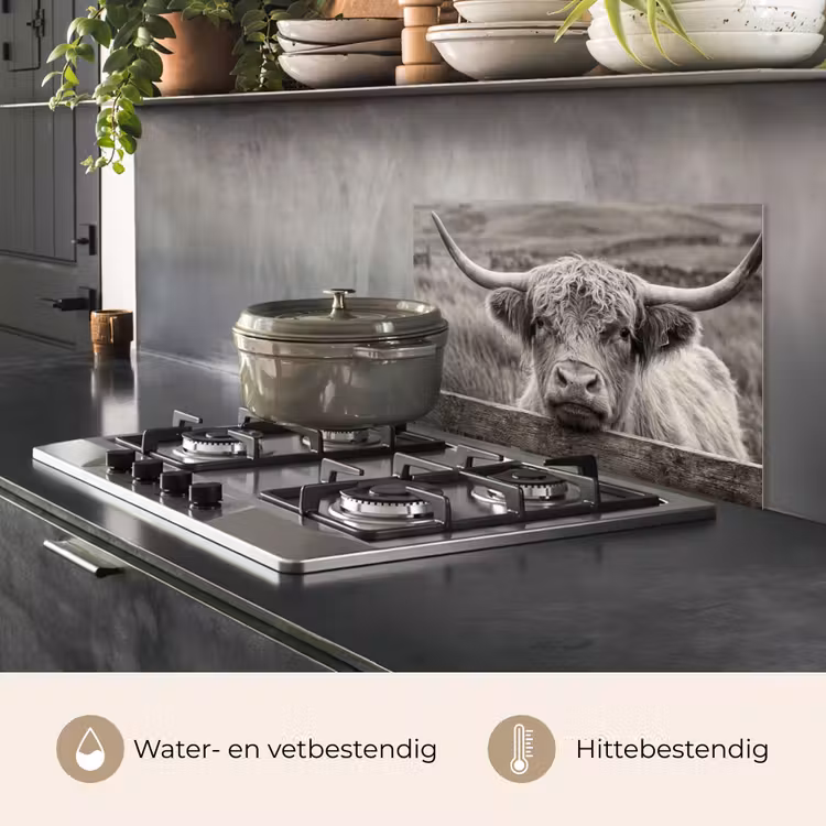 Schotse hooglander - Zwart - Wit - Hout keuken achterwand spatscherm klein -usp_NL