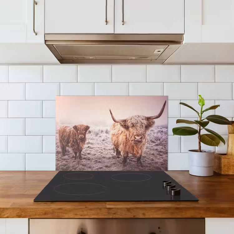 Schotse hooglanders - Licht - Lucht - Natuur keuken achterwand spatscherm klein -sfeer2