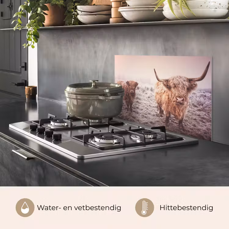 Schotse hooglanders - Licht - Lucht - Natuur keuken achterwand spatscherm klein -usp_NL