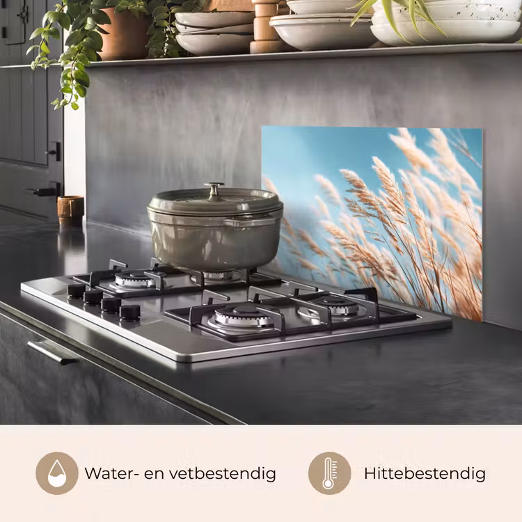 Siergras - Wind - Lichtbruin keuken achterwand spatscherm klein -usp_NL
