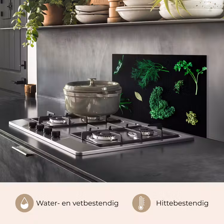 Specerijen en kruiden op zwarte achtergrond keuken achterwand spatscherm klein -usp_NL