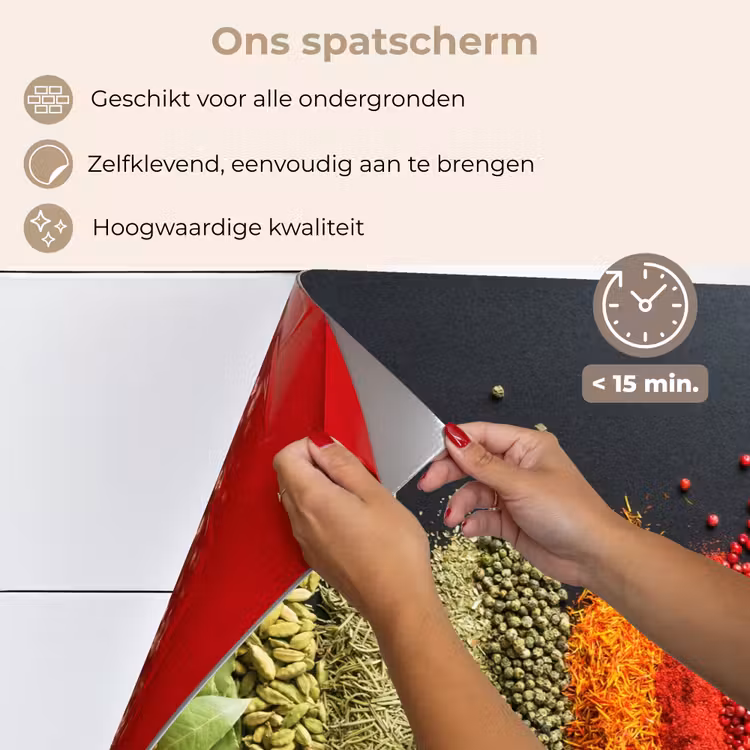 Specerijen - Kruiden - Banen - Regenboog keuken achterwand spatscherm klein -spatscherm_NL