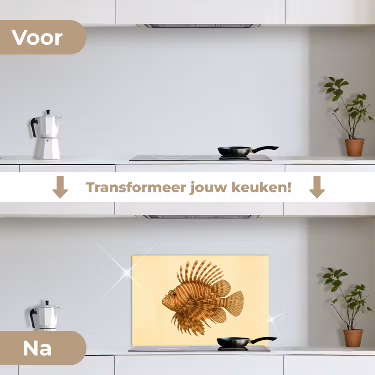 Strepen - Vis - Rond - Stekels keuken achterwand spatscherm klein -voor_na_NL