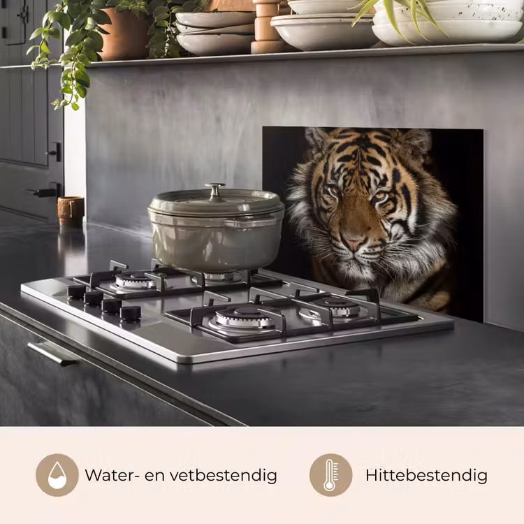 Tijger - Wilde dieren - Portret keuken achterwand spatscherm klein -usp_NL