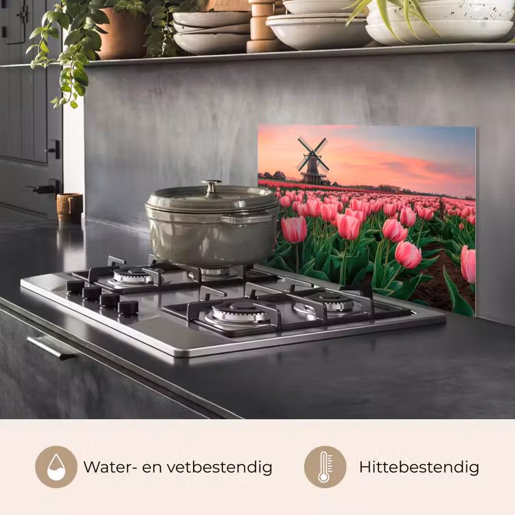 Tulpen - Molen - Nederland keuken achterwand spatscherm klein -usp_NL